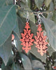 Wooden Leaf Cluster Earrings