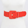 Wide Buckle Colored Belt