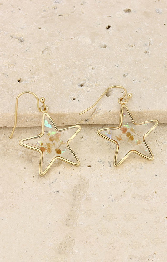 Dried Flower Star Earrings
