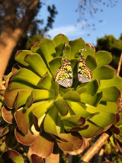 Wooden Brilliant Butterfly Earrings