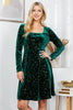 Celestial Green Velvet Dress