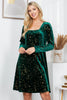 Celestial Green Velvet Dress