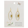 Delicate Daisy Dried Flower Earrings