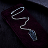 Real Spiderweb Coffin Necklace