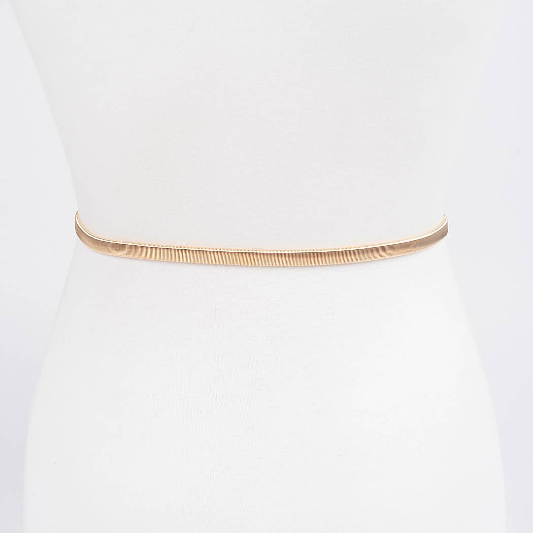 Two Buckle Spring Belt