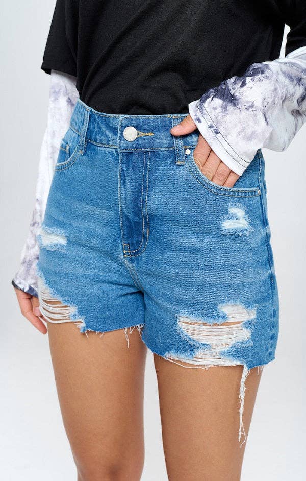 Stretchy High Rise Frayed Shorts