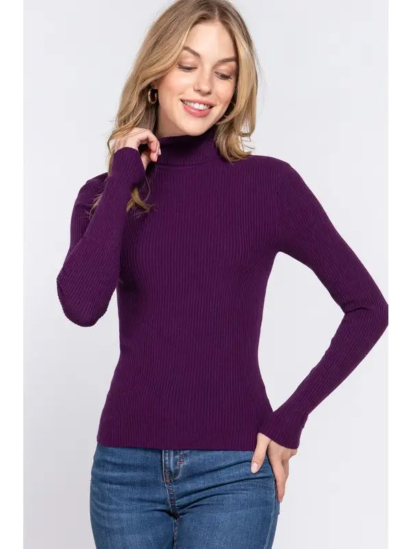 Long Sleeve Ribbed Turtle Neck