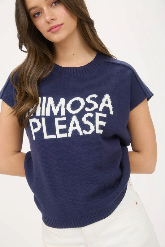 Mimosa Please Pullover Knit Top