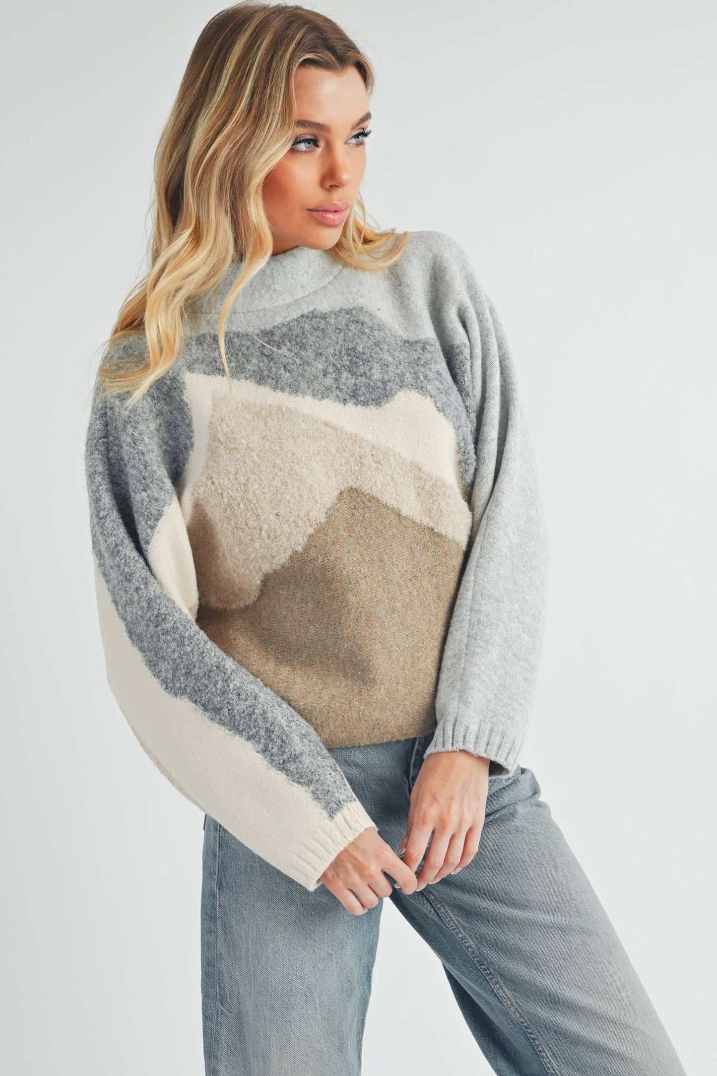 Cozy Color Block Sweater