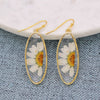 Delicate Daisy Dried Flower Earrings